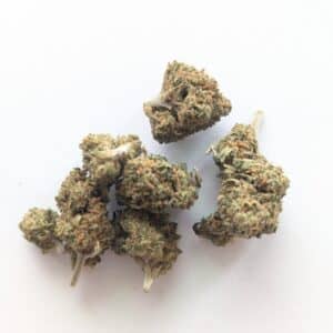 Mini buds Jack Herer – Fleur de CBD à Altkirch en vente chez Concept CBD Shop
