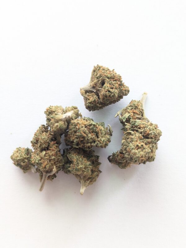 Mini buds Jack Herer – Fleur de CBD à Altkirch en vente chez Concept CBD Shop