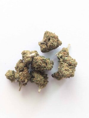 Mini buds Jack Herer – Fleur de CBD à Altkirch en vente chez Concept CBD Shop