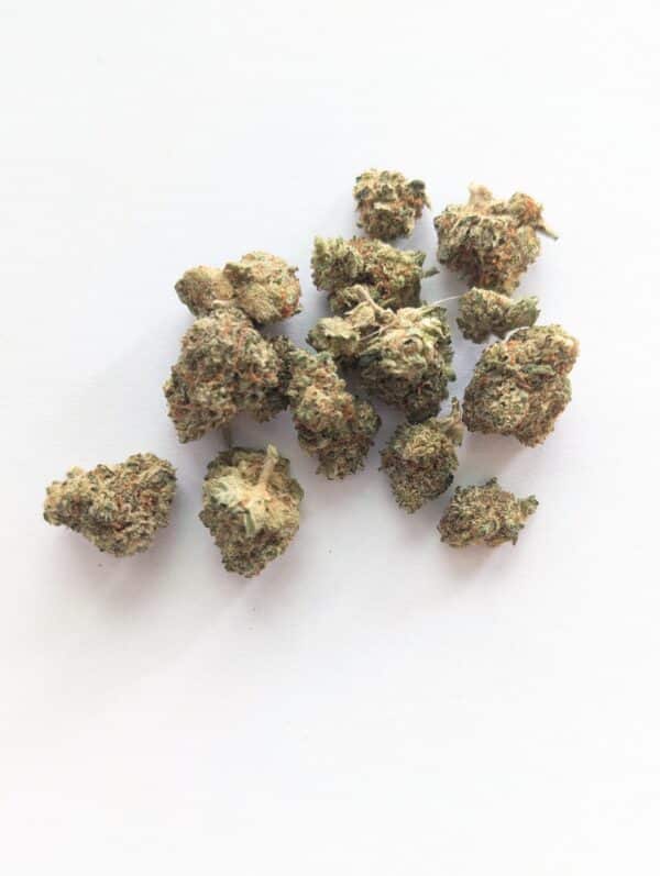 Fleur CBD Skittlez en mini buds – en vente à Waldighoffen chez Concept CBD Shop