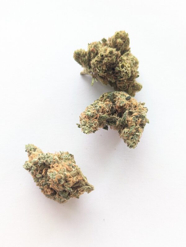 Fleur CBD White Buddha en vente à Waldighoffen – Concept CBD Shop Sundgau
