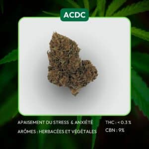 Fleur de CBD aux arômes boisé