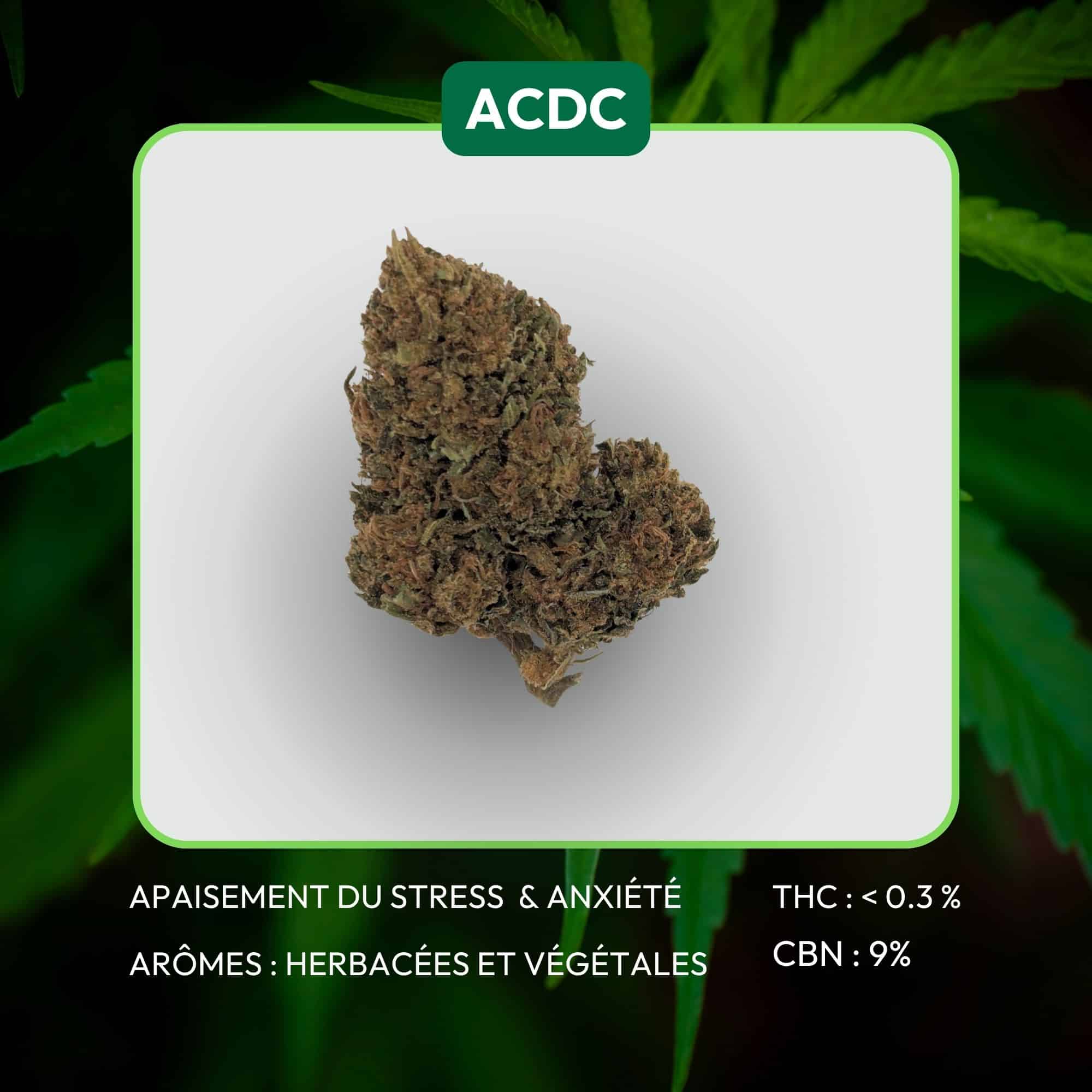 Fleur de CBD aux arômes boisé